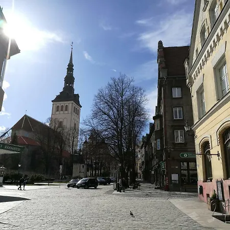 公寓 Old Town Niguliste *